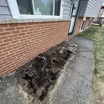 Before: Landscape bed along the brick cleared and rocked, with path lights